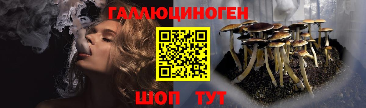 Галлюциногенные грибы Psilocybe Джанкой